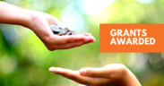 grants awarded