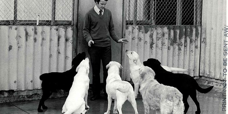 Guide dog instructor John Gosling with Dogs