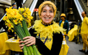 cancer charity daffodil day