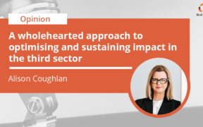 Alison Coughlan writes about the third sector and how to optimise and sustain impact