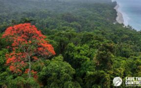 Gondwana Rainforest Trust